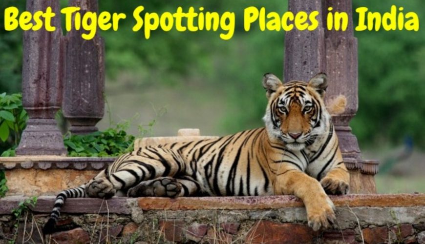 place to visit Ranthambore