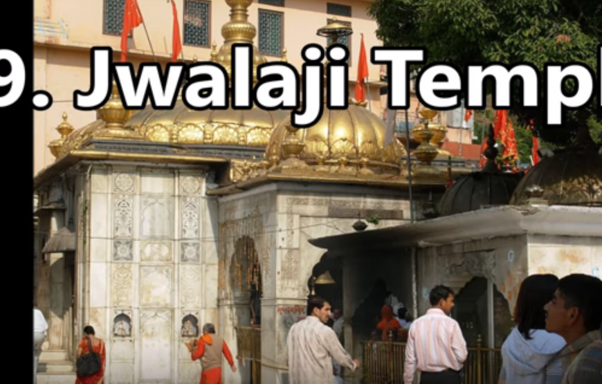 Seven days Nainital & Kausani & Jim Corbett & Mussoorie by Tempo Traveller from Delhi