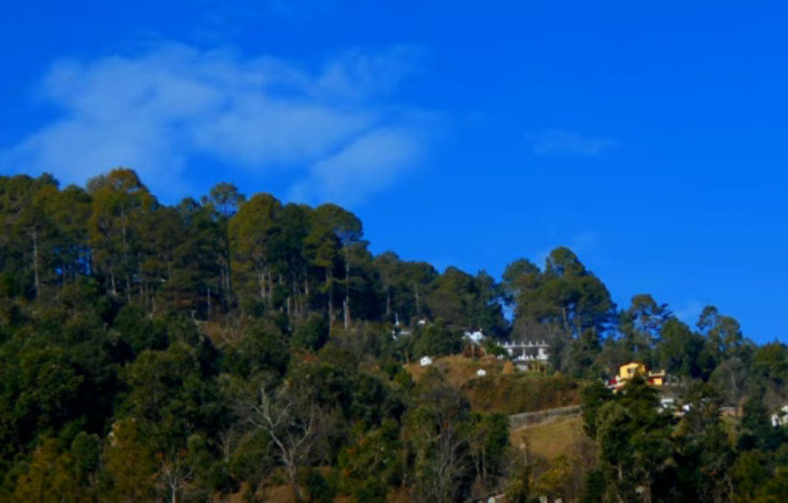 Seven days Nainital & Kausani & Jim Corbett & Mussoorie by Tempo Traveller from Delhi