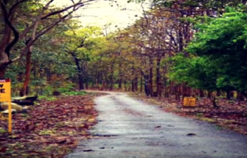 Seven days Nainital & Kausani & Jim Corbett & Mussoorie by Tempo Traveller from Delhi