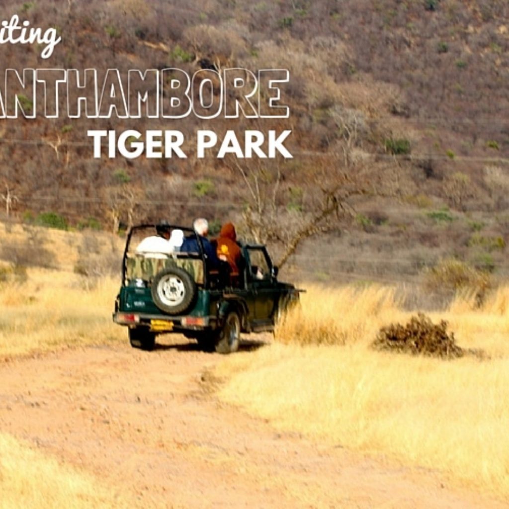 Tiger Park tour by tempo traveller