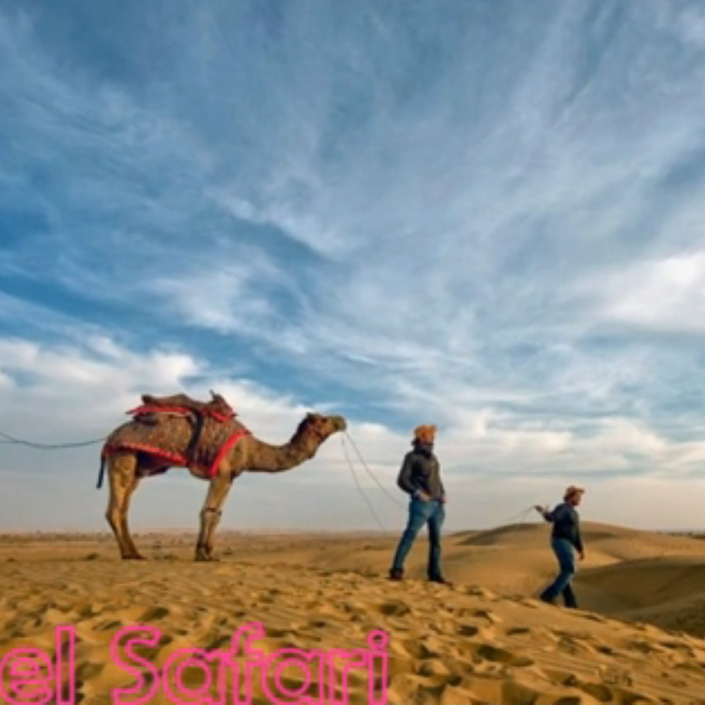 Camel Safari tour by tempo traveller 2