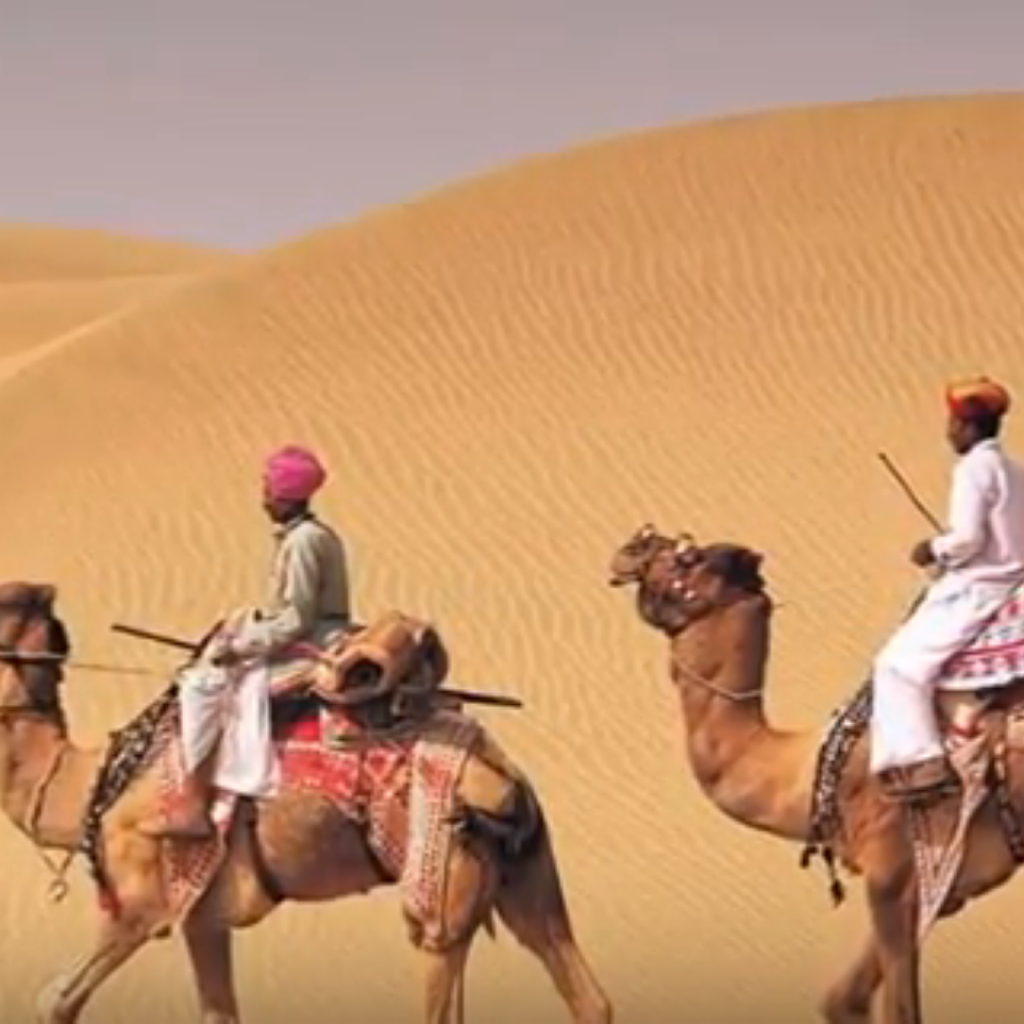 Camel Safari tour by tempo traveller 8