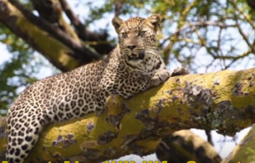 Udaipur with Mount Abu Tour By Tempo Traveller